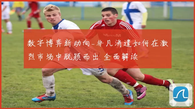 数字博弈新动向_非凡消遣如何在激烈市场中脱颖而出 全面解读