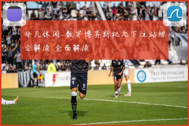 非凡休闲_数字博弈新纪元下注站综合解读 全面解读