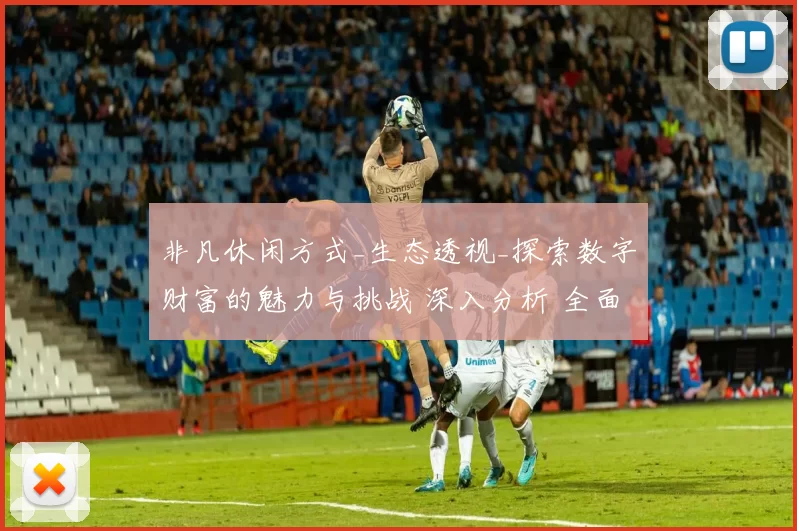 非凡休闲方式_生态透视_探索数字财富的魅力与挑战 深入分析 全面解读