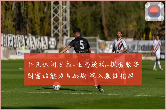 非凡休闲方式_生态透视_探索数字财富的魅力与挑战 深入数据挖掘 综合解读