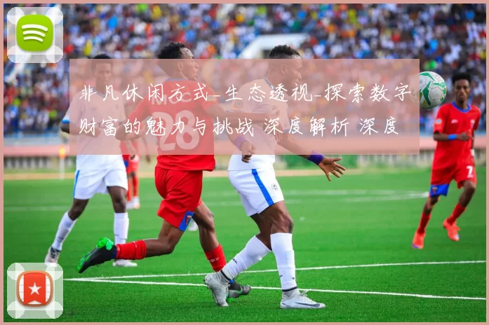 非凡休闲方式_生态透视_探索数字财富的魅力与挑战 深度解析 深度解析