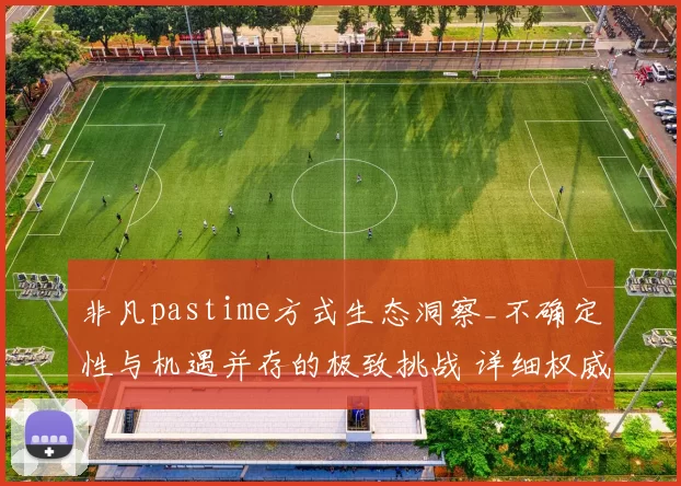 非凡pastime方式生态洞察_不确定性与机遇并存的极致挑战 详细权威解析 透彻分析 深度解析