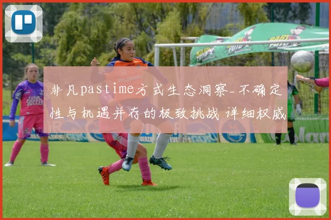 非凡pastime方式生态洞察_不确定性与机遇并存的极致挑战 详细权威解析 深度解析