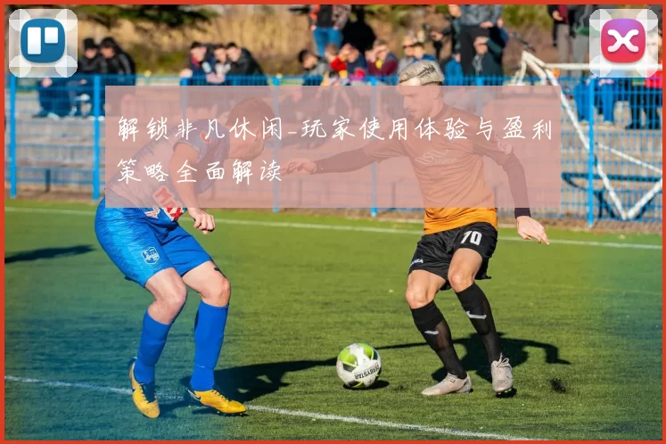 解锁非凡休闲_玩家使用体验与盈利策略全面解读