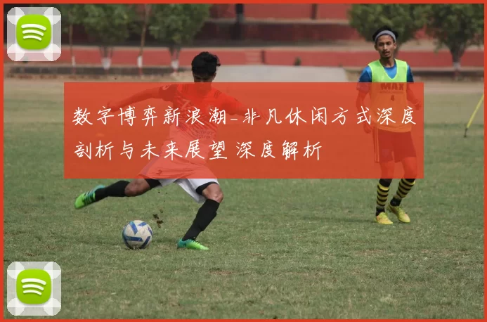 数字博弈新浪潮_非凡休闲方式深度剖析与未来展望 深度解析