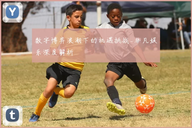 数字博弈浪潮下的机遇挑战_非凡娱乐深度解析