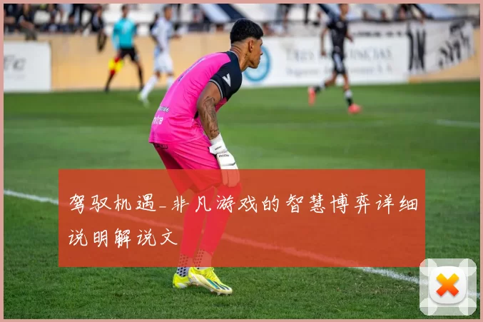 驾驭机遇_非凡游戏的智慧博弈详细说明解说文