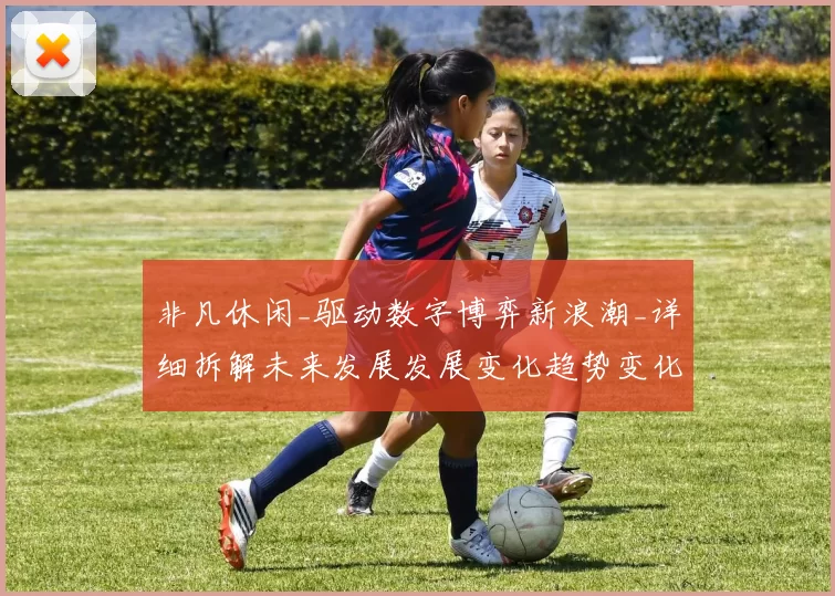 非凡休闲_驱动数字博弈新浪潮_详细拆解未来发展发展变化趋势变化