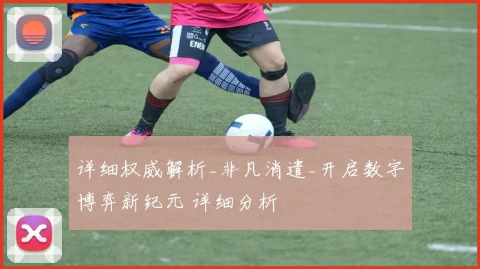 详细权威解析_非凡消遣_开启数字博弈新纪元 详细分析
