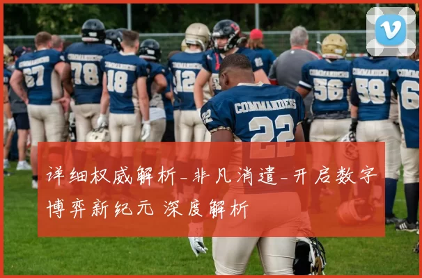 详细权威解析_非凡消遣_开启数字博弈新纪元 深度解析