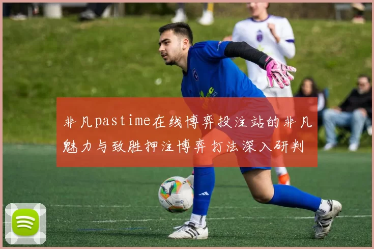 非凡pastime在线博弈投注站的非凡魅力与致胜押注博弈打法深入研判 深度解析 深度解析