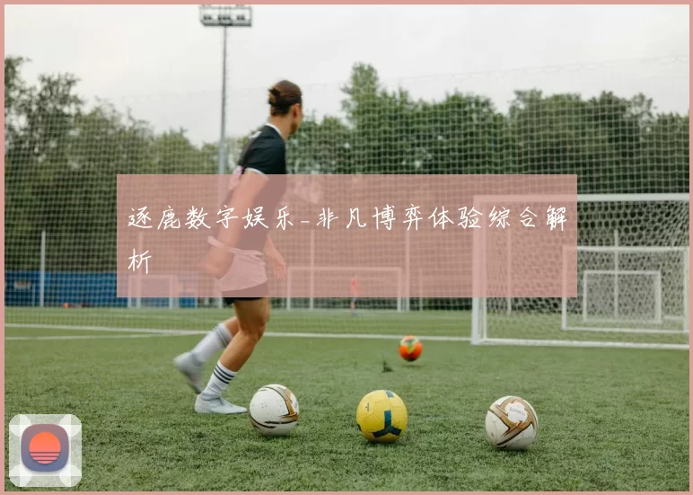 逐鹿数字娱乐_非凡博弈体验综合解析