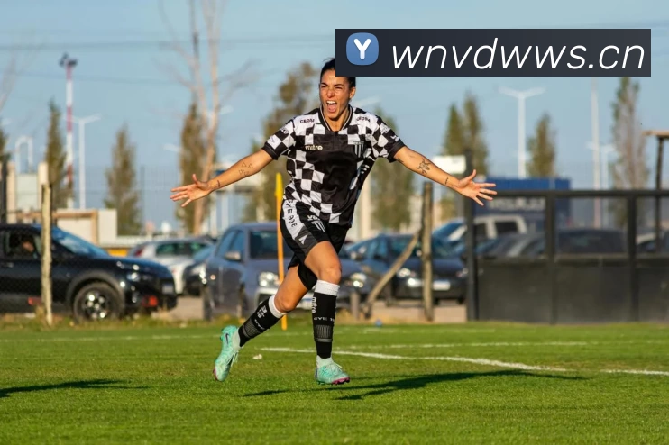 非凡娱乐发展历程